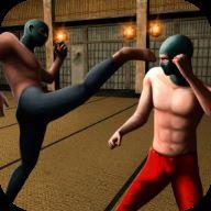 Ninja Kung Fu Fighting(暗夜忍者格斗手游)v1.2 安卓版