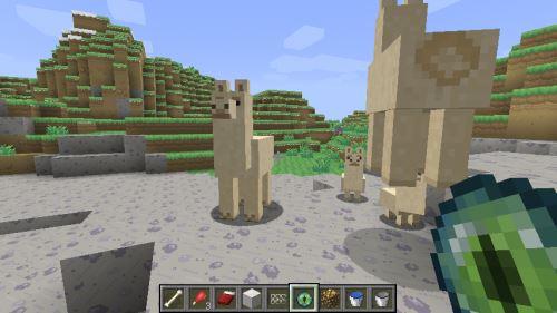 《我的世界》羊驼驯服方法